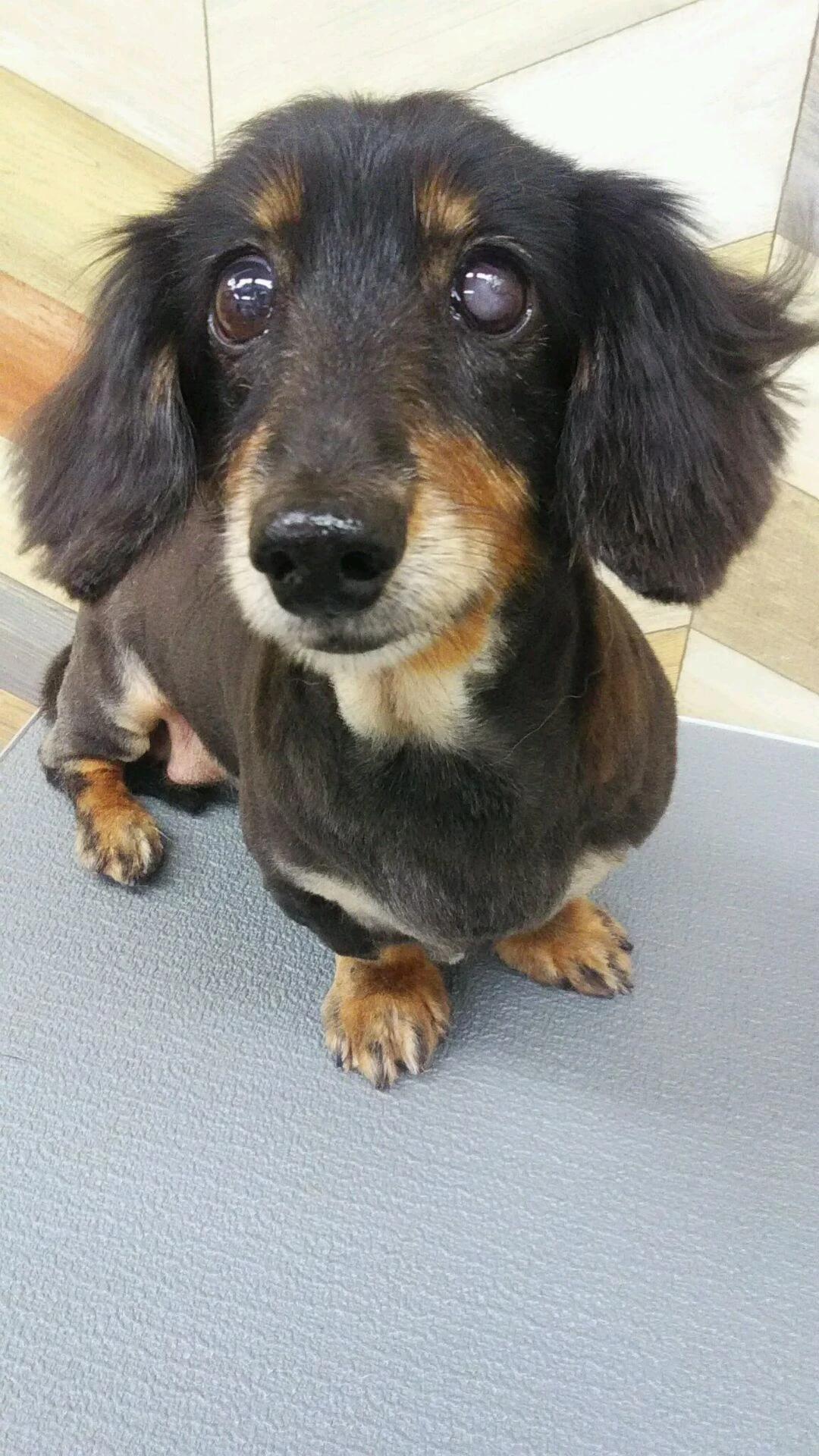 dsc_0007