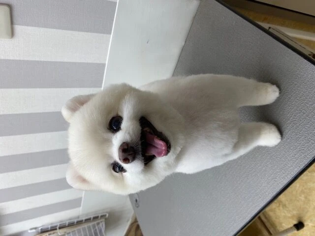 image0
