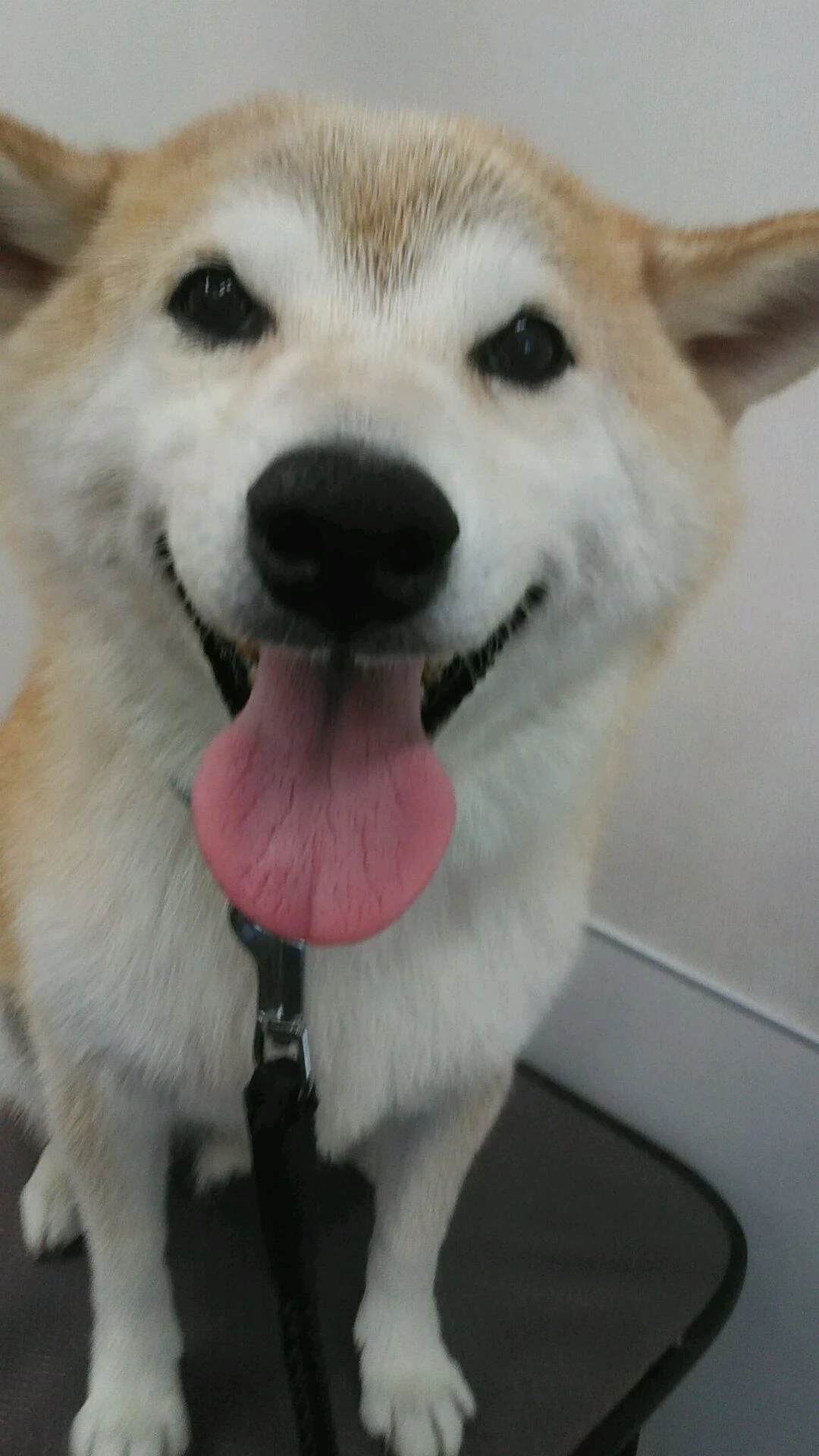 dsc_0001