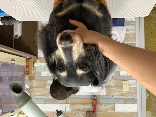 image0