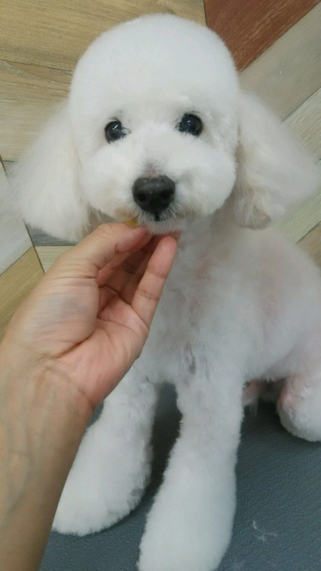 dsc_0005