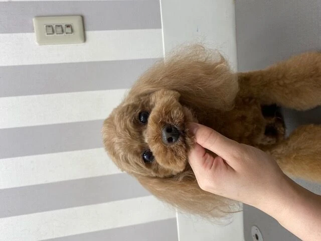 image0