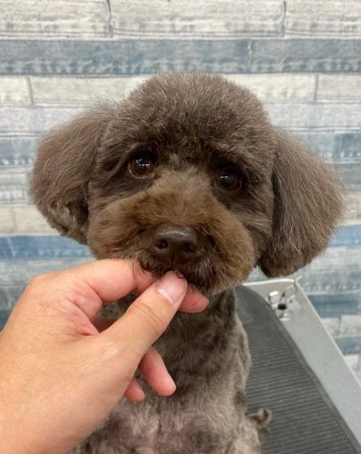 img_6838