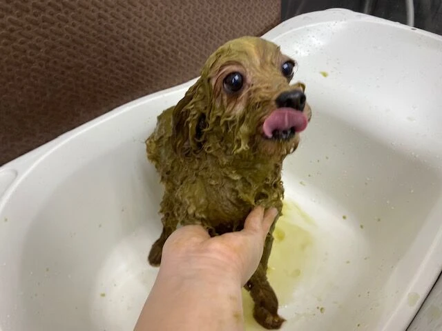 image0