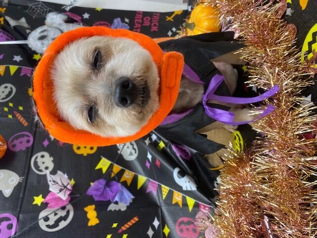 image0