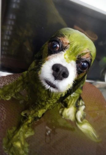 img_20200927_172603