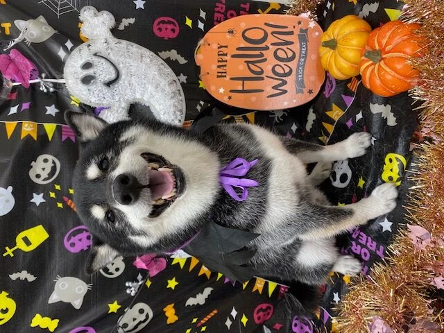 0190aa16-8bef-48f4-984e-2230be64bb64