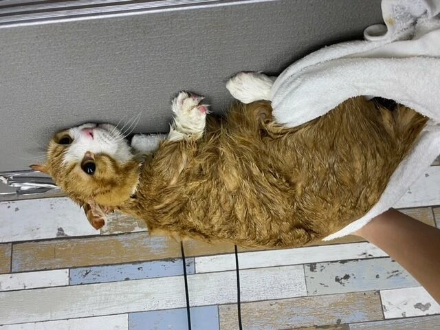 image0
