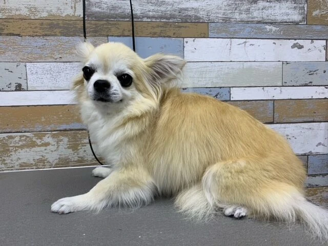 image0