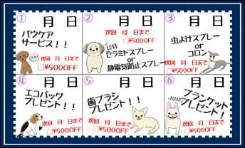 %ef%bd%8d