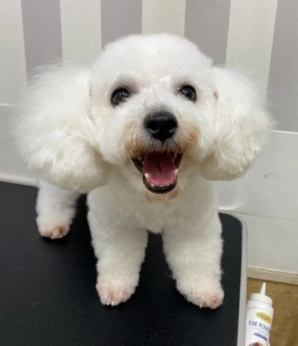%ef%bd%88