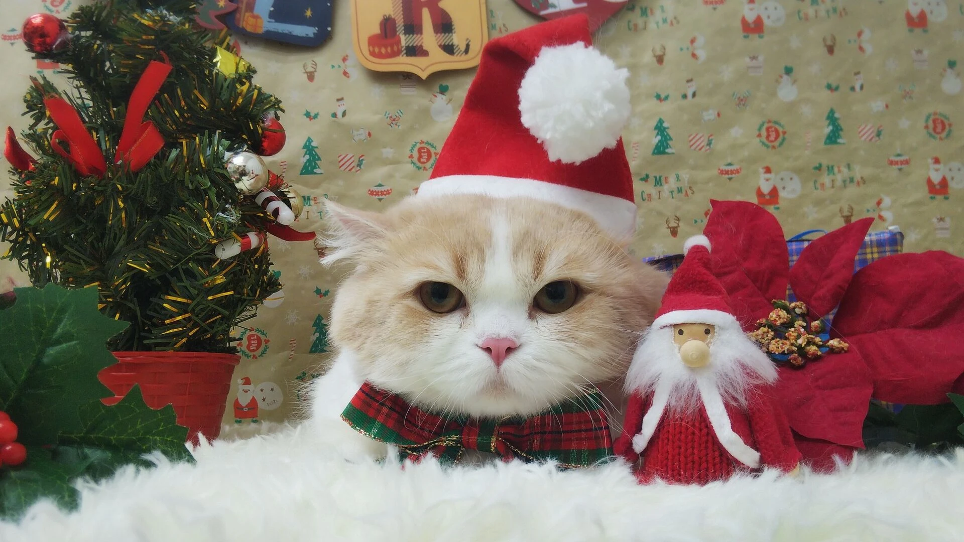 img_20201205_220740