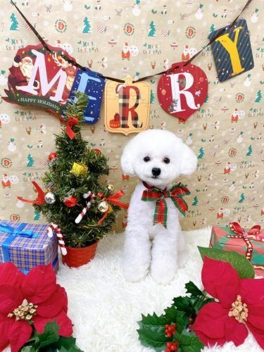 line_122187790717501