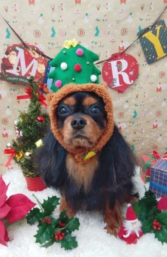 img_20201206_210440