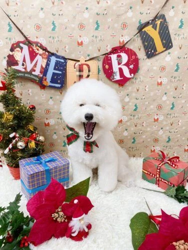 line_122220807555561