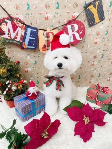 line_122215877958584