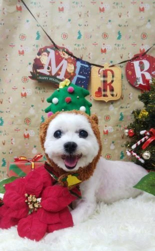 img_20201207_204052