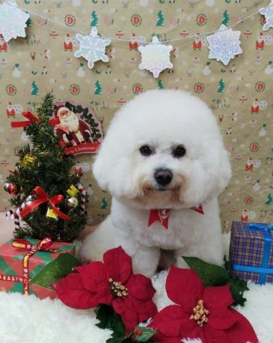 thumbnail_img_20201208_163249