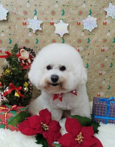 thumbnail_img_20201208_163318