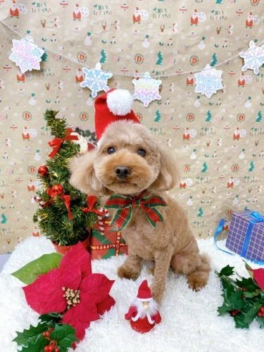 e40537b4-875b-4617-91ce-27bea1a64c94