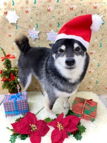 thumbnail_image8