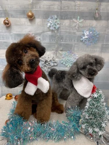 img_2501