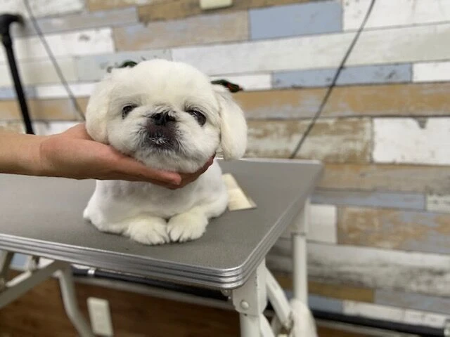 image0