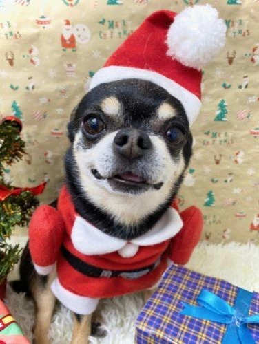 thumbnail_image2