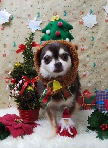 thumbnail_img_20201216_165001