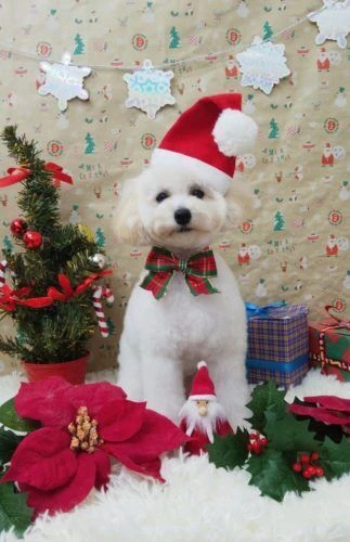 thumbnail_img_20201218_165106