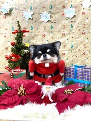 thumbnail_image2