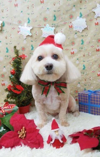thumbnail_img_20201219_190417