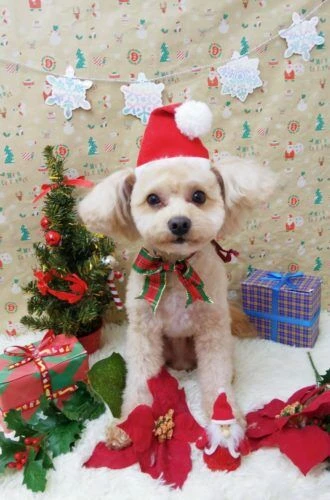 thumbnail_img_20201219_190501