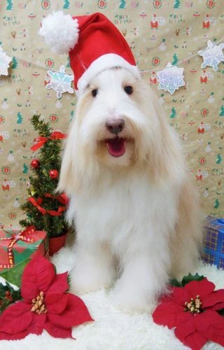 thumbnail_img_20201219_190537