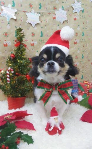 thumbnail_img_20201220_190551