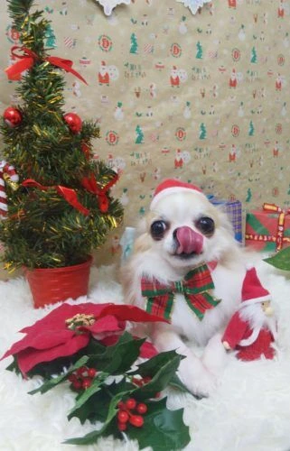 thumbnail_img_20201220_190608