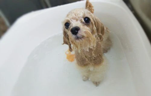 thumbnail_img_20201220_190513