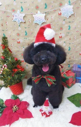 thumbnail_img_20201220_190441