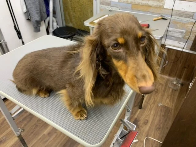 image0-2