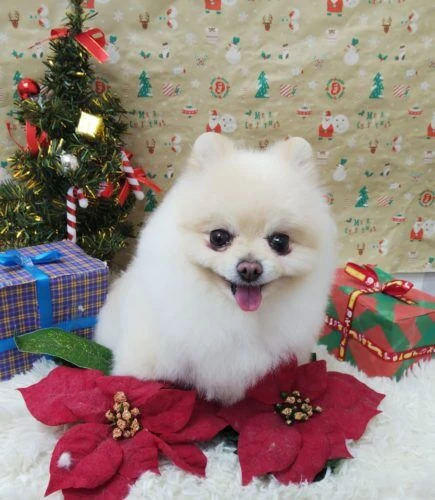 thumbnail_img_20201225_185421
