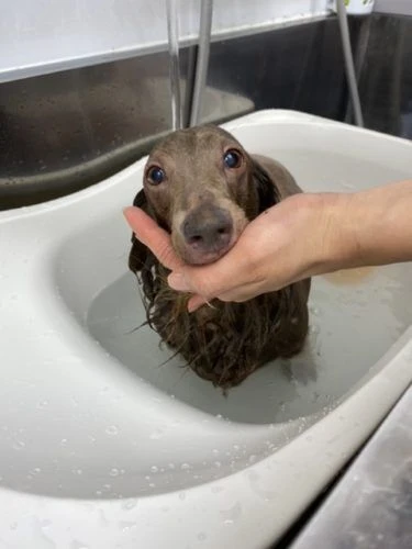 b2e2baff-7ac4-4fe5-b339-1d135b2f6ca7