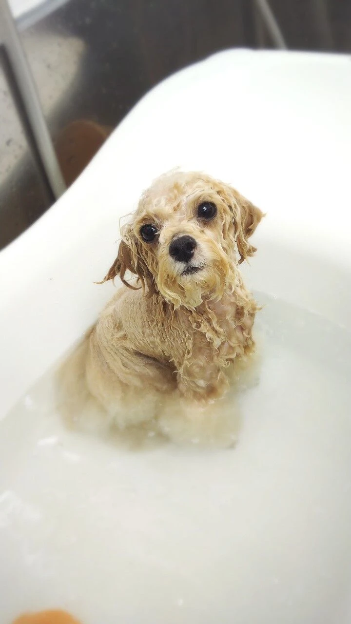thumbnail_img_20210103_175126