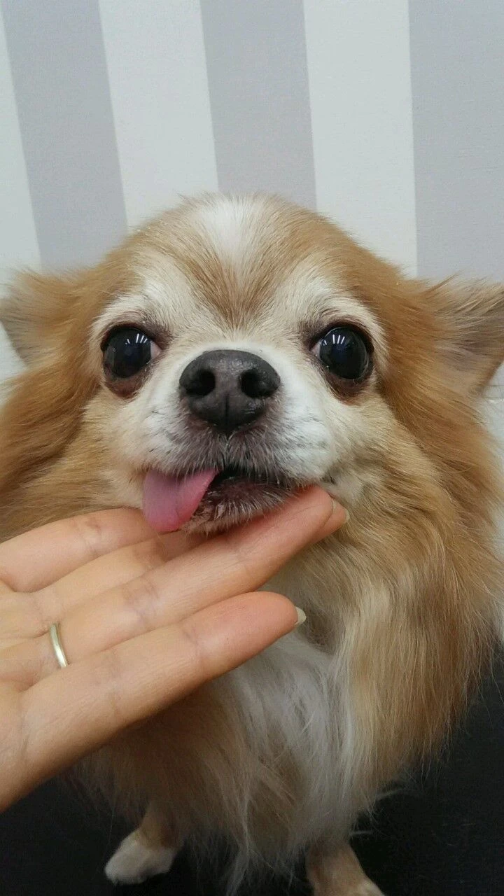 thumbnail_dsc_0075