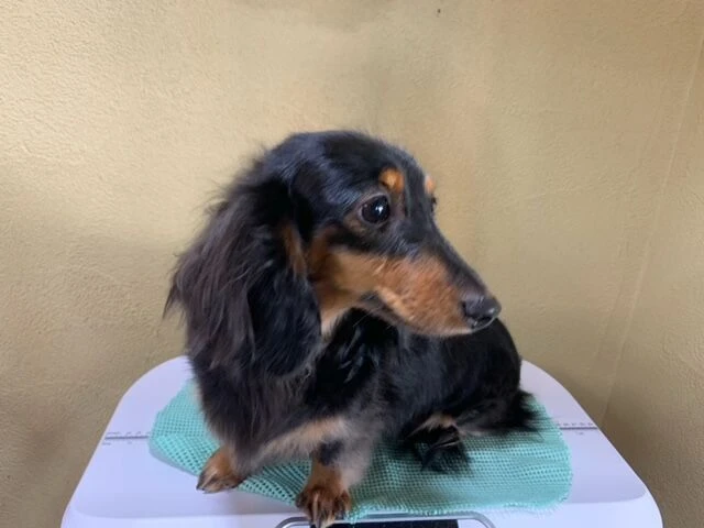 image0-1