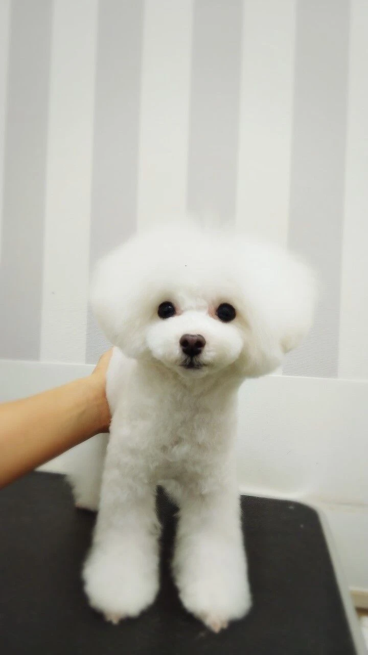thumbnail_img_20210117_124459
