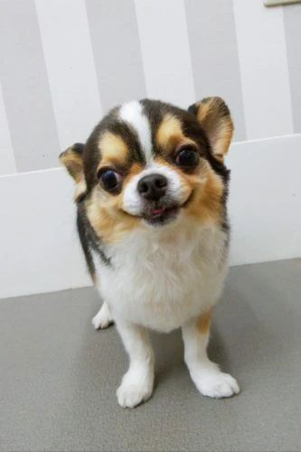 thumbnail_img_20210117_124120