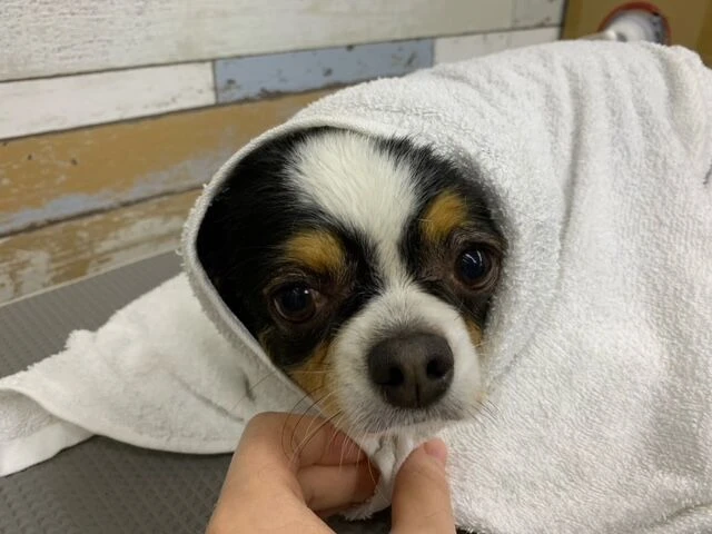 image0