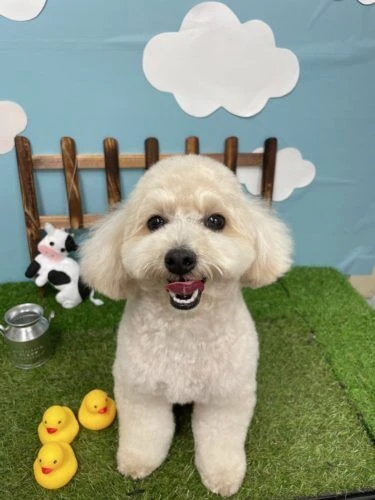 img_4161