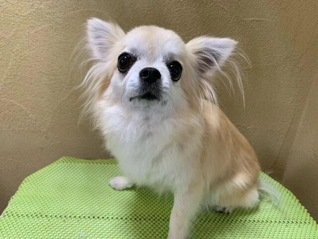 image2-1
