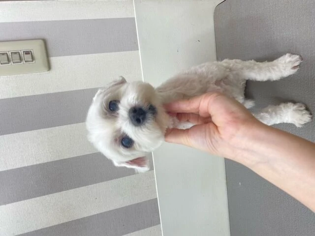image0